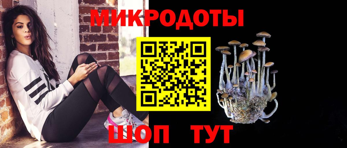 Когалым  Галлюциногенные грибы Psilocybe  Вход с VPN  купить  сайты  Галлюциногенные грибы Cubensis 